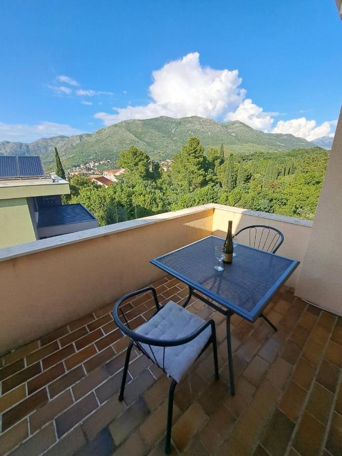 Guesthouse Villa Stanovic Vlaho ツァヴタット エクステリア 写真
